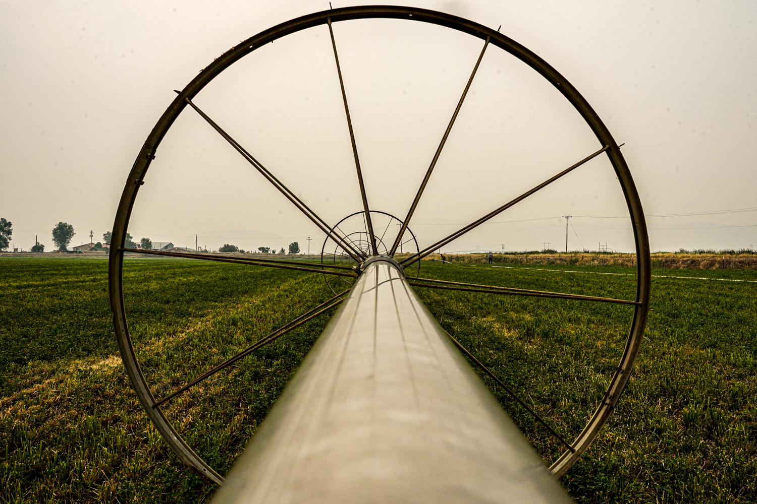 Klamath-Irrigation